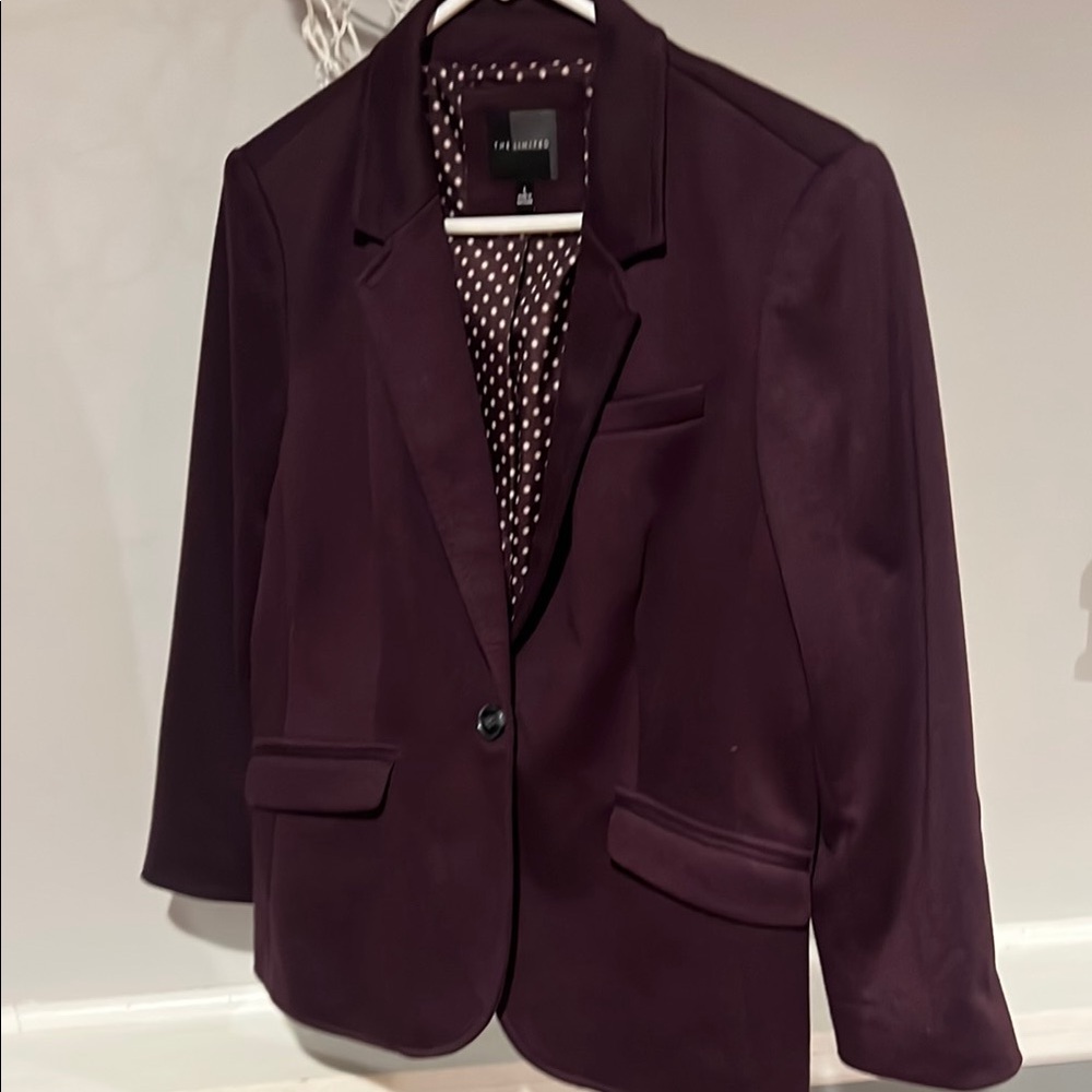 The Limited Blazer
